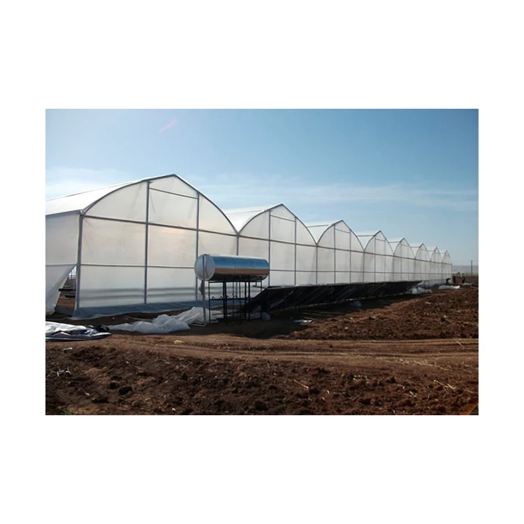 
Good quality commercial plastic film greenhouses commercial greenhouse 