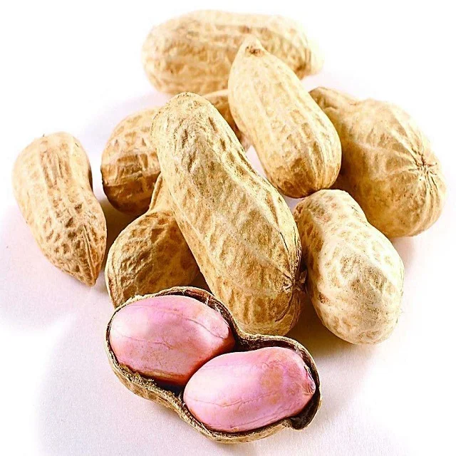 Raw Peanuts peanut Roasted Ground nuts
