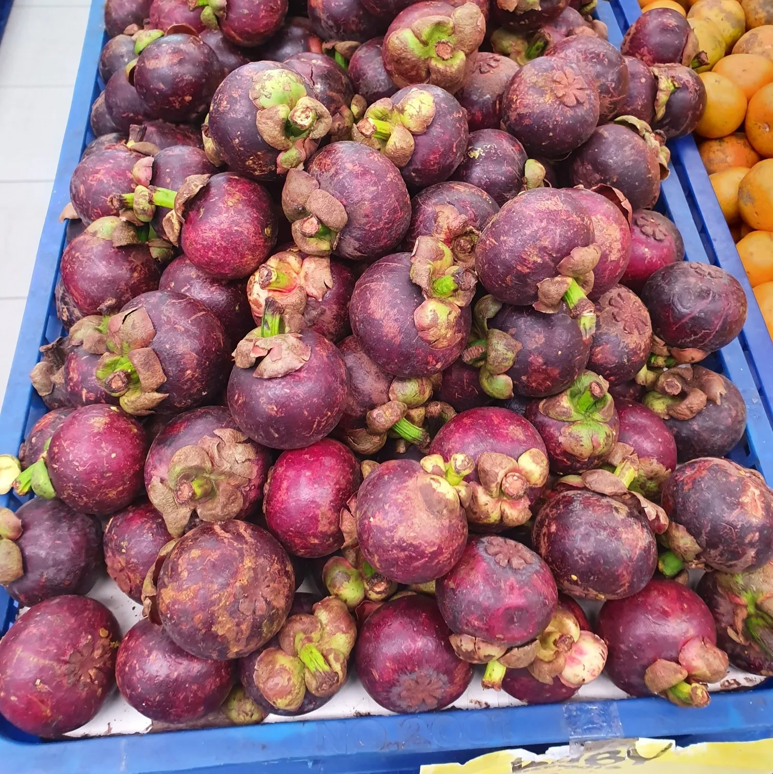 
Fruit New Cultivation Of Crops - Mangosteen Fruit Special Price 