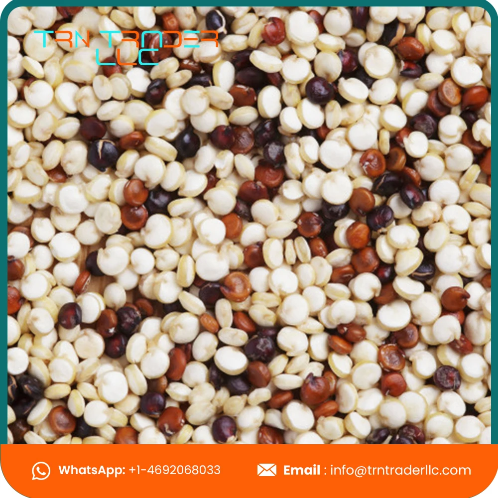 Оптовая поставка органического белого хиноа из США от ведущих поставщиков