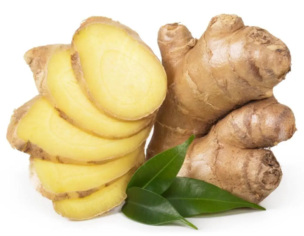 
Factory supply high quality Ginger oil with best price ! 