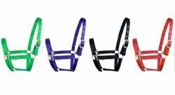 low price  Nylon Halter Sports & Entertainment>Outdoor Affordable Luxury Sports>Horse Racing>Halters