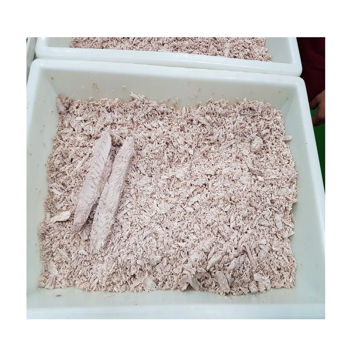 5Kg To 7.5Kg Fillet Part Single Clean No Flakes Frozen Cooked Tuna Skipjack Loin Low Sodium