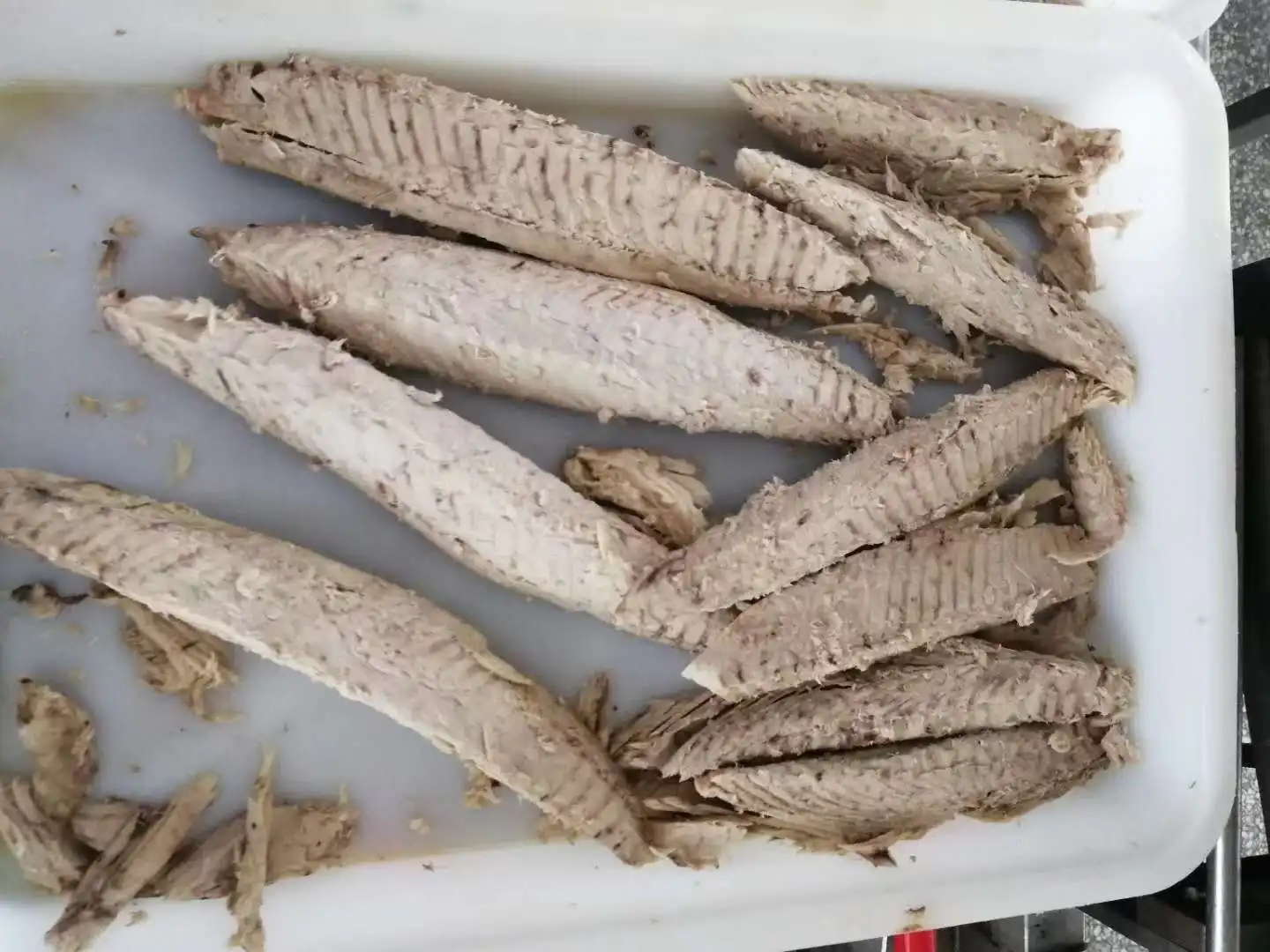 Precooked Skipjack Loin 3.JPG