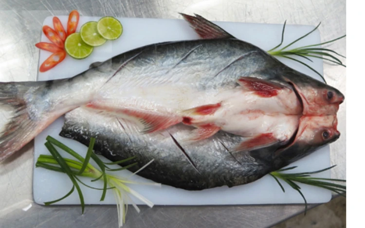 Free sample Panga Wholesale Frozen sutchi Pangasius Basa Tra Swai Butterfly cut Fish IQF Bulk 10kg packing in Vietnam