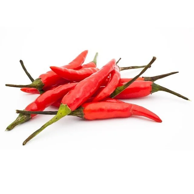 Spices & Herbs Products Wholesale Best Price New Crop Fresh Red Chili Pepper from Uzbekistan