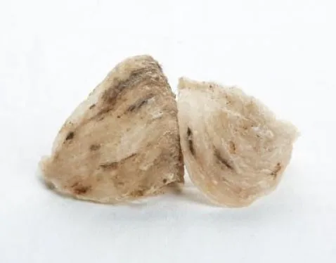 Vietnamese Bird Nest / Dry bird nest