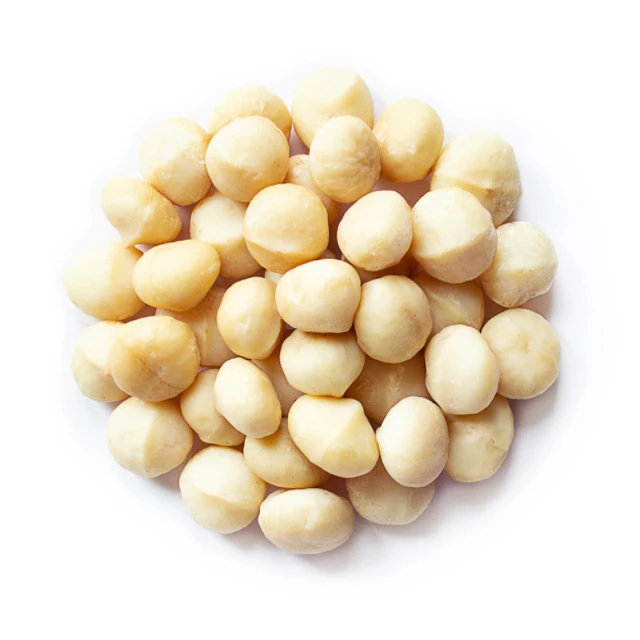 High Quality Natural Macadamia Nuts Premium Grade