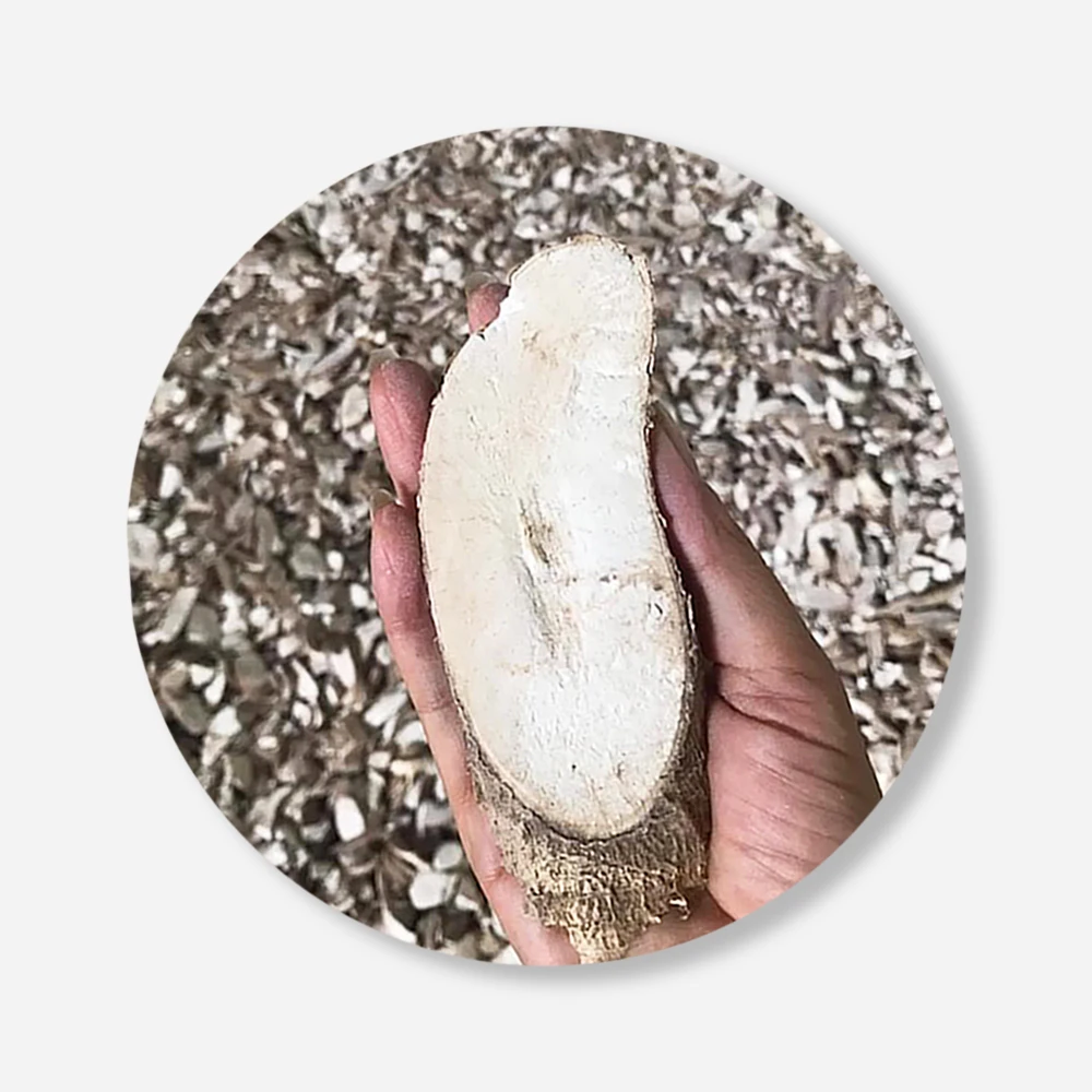 Dried Cassava Chips Thai Tapioca For Making Animal Feed