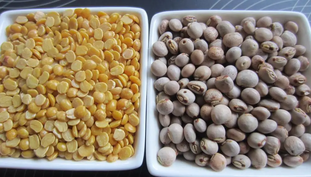 Best quality  Dried / Green Pigeon Peas from Peru