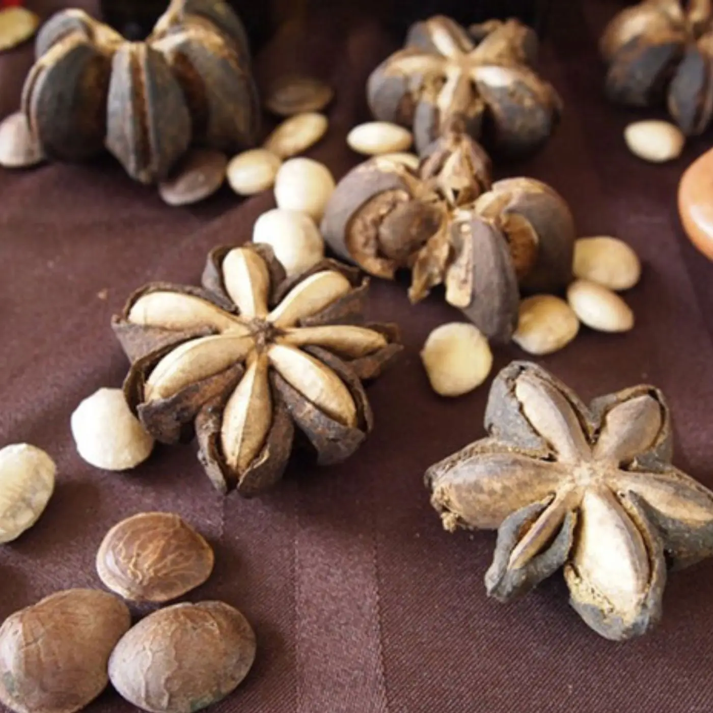 Высококачественный сушеный орех сачи/лучший выбор для вашего здоровья-Хелен + 84 374 288