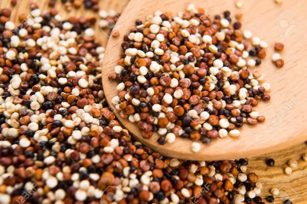 MIX QUINOA FROM PERU Organic Tricolor quinoa at low price