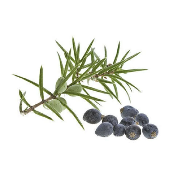 WHO Certified Cade Oil Wholesale Suppliers At Lowest Price