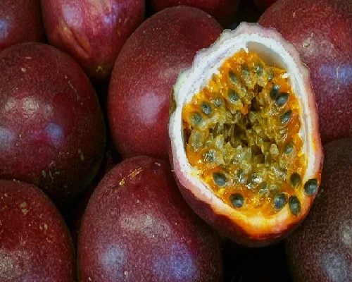 
PASSION FRUIT 