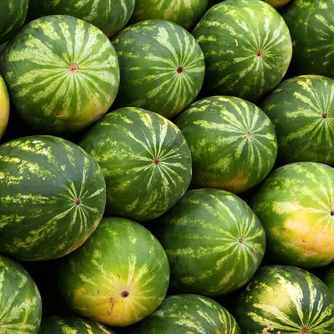 Свежий арбуз стиль вес тип воды Размер продукта фрукты дыня зрелость