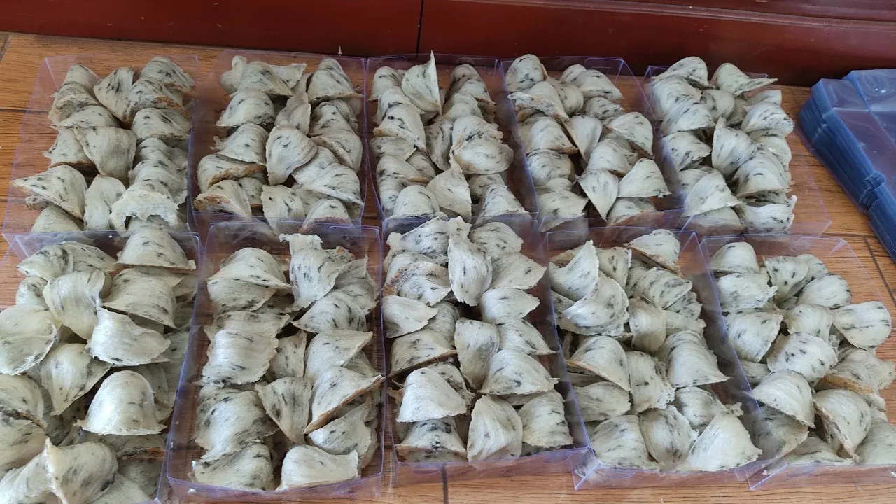 Оптовая продажа необработанные птичьи гнезда Премиум-Качества пищевые повышающие иммунную систему