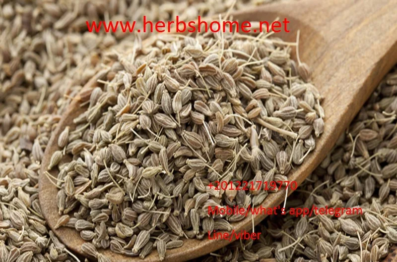 egyptian anise seeds Raw Dried  Top Grade Excellent Flavor high quality