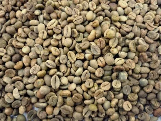 Viet Nam Coffee beans - ROBUSTA COFFEE Grade 1 Screen 18 Cleaned- Best Price from Song Hy Gia Lai
