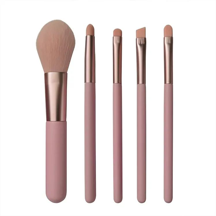 Travel makeup brush set 5 pcs  pink powder eyeshadow brushes