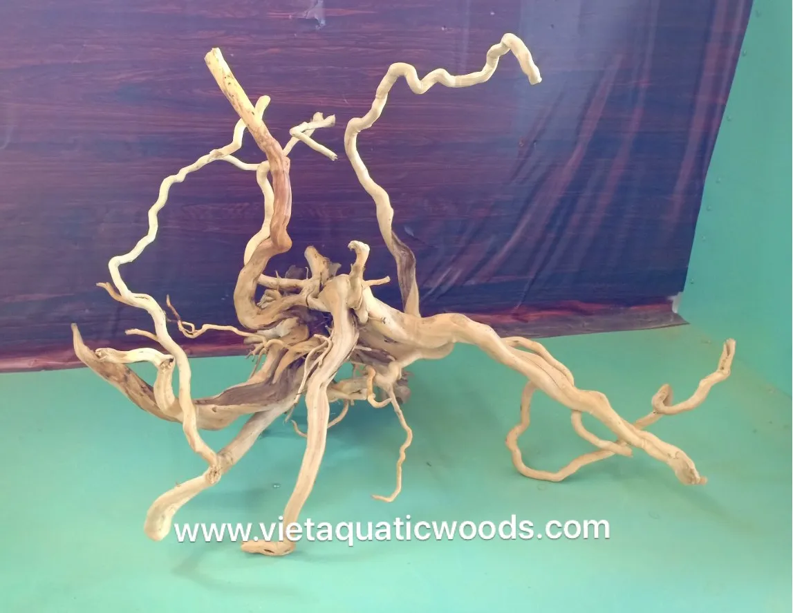 Лидер продаж 2024 коряги мангровые аквариумы натуральные для аквариума аксессуары украшения 2023 WhatsApp + 84 963949178