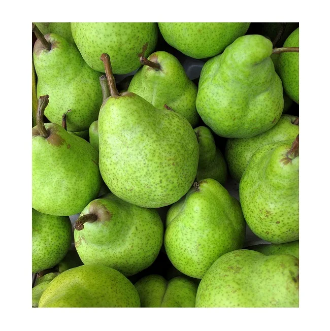 Fresh Fruit Pears Available at Cheapest Price In Bulk Fresh Stock