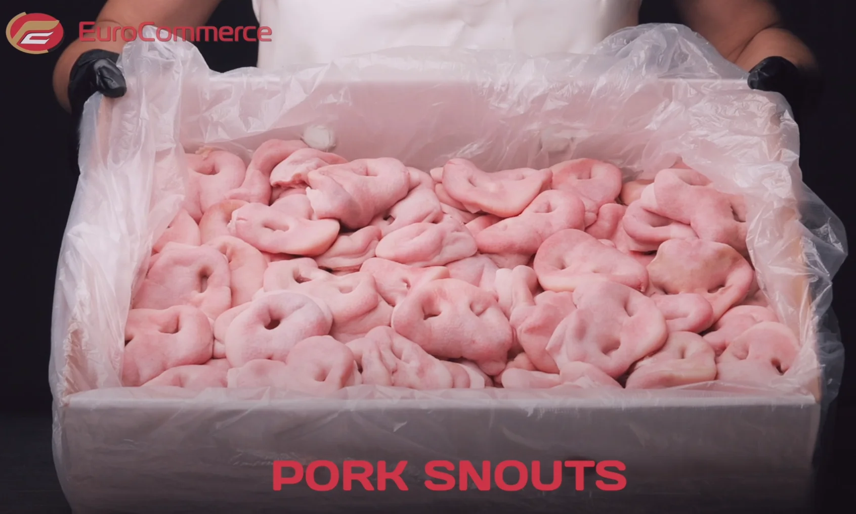 
frozen pork snouts 