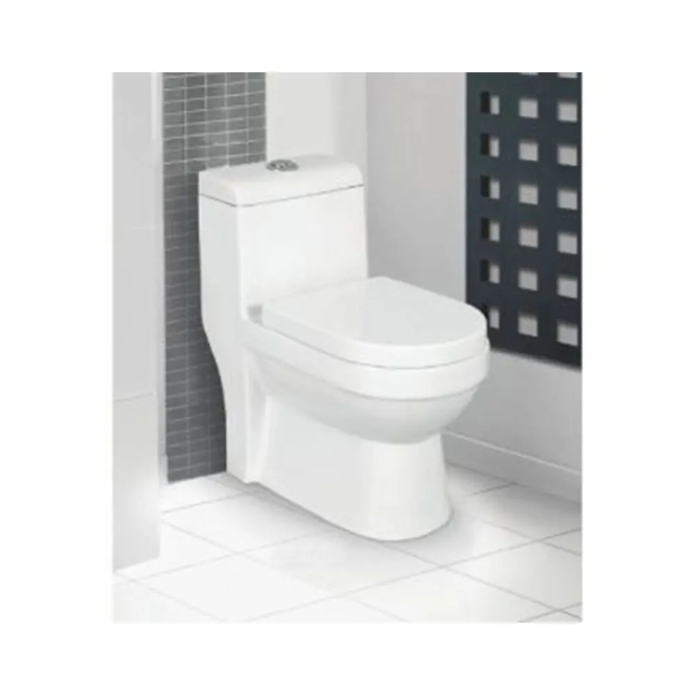 High Quality Best Toiletry Ceramic One Piece Closet for Modern Bathroom Sanitary Ware