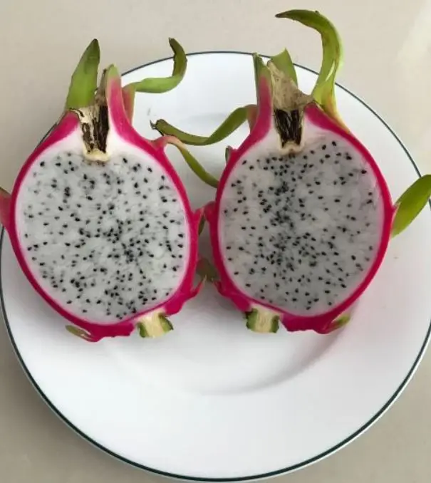 Высокое качество/Свежий фрукт дракона выращиваемый во Вьетнаме/Лучшая цена