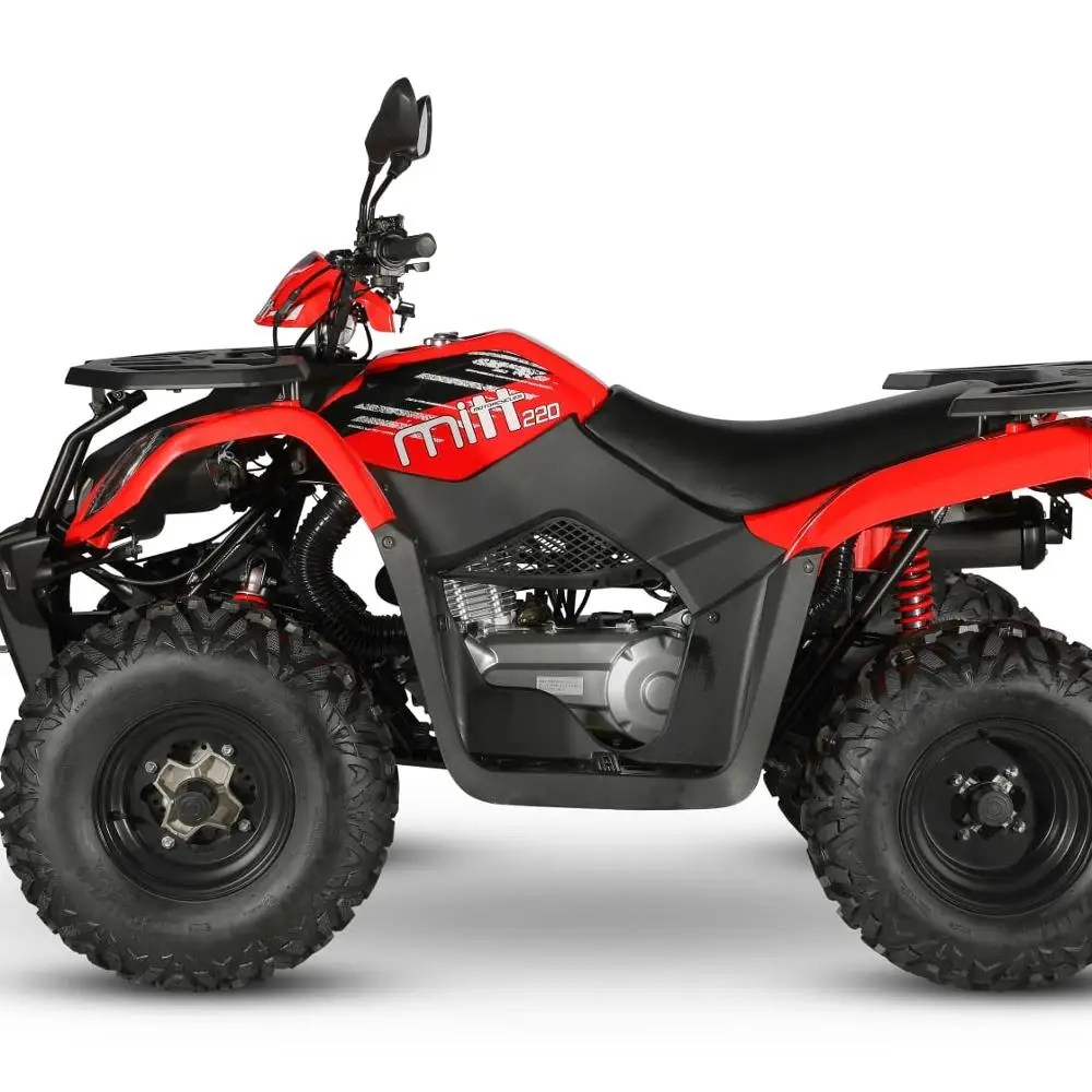 ATV 300 4x4