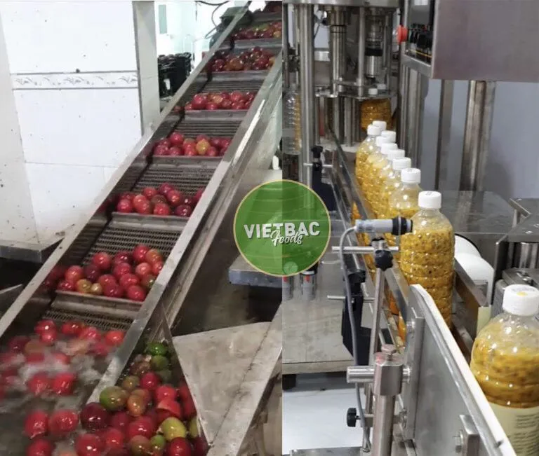 
Standard Company High Quality Frozen Passion Fruit 100% Natural From VietNam Product In Bulk Hot Sale 2021 