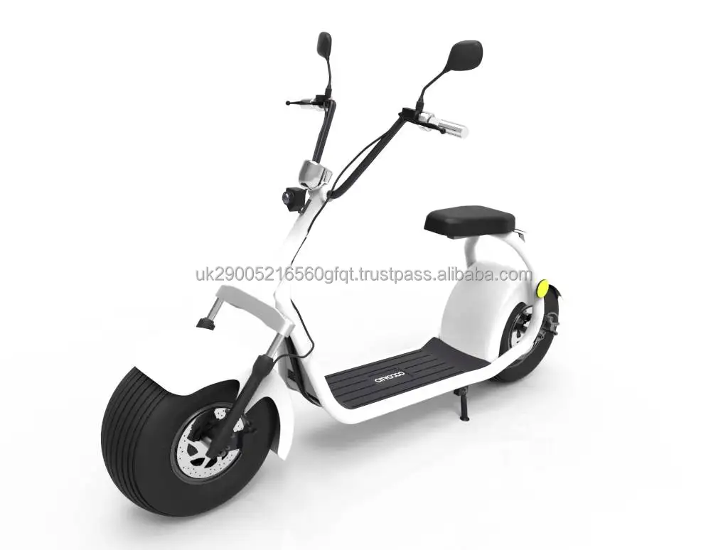 CITYCOCO adult scooter6.jpg