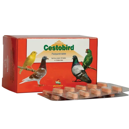 Cestobird (1)