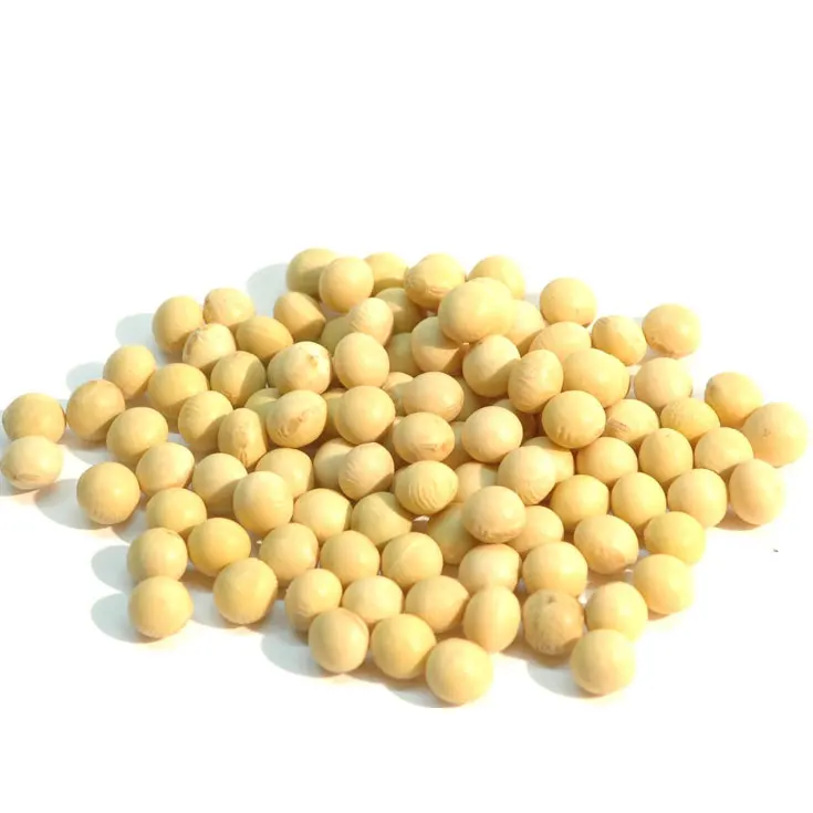 Yellow Soybean / Non GMO Soybeans