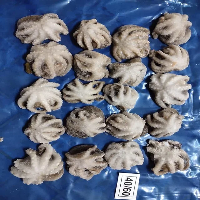 TOP QUALITY FROZEN OCTOPUS WHOLE CLEANED FROM INDIA