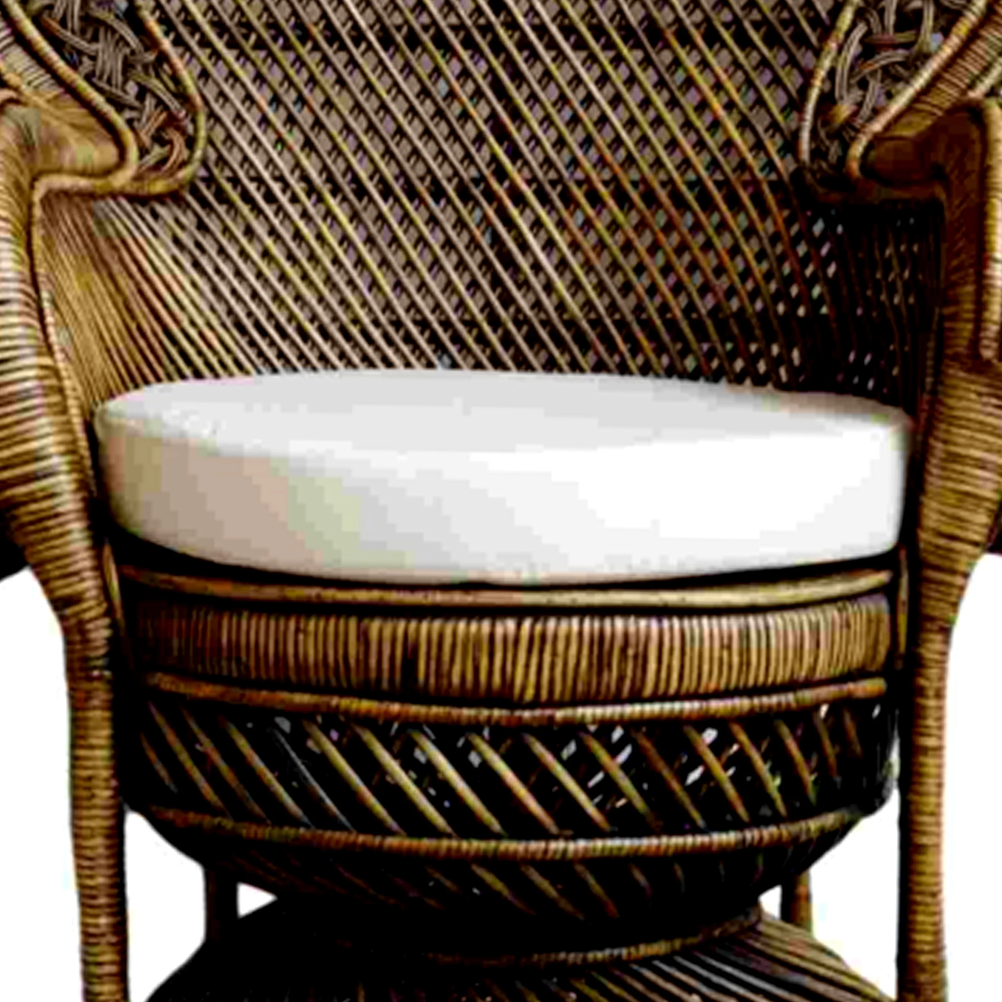 
Best Price Ekata Peacock Rattan Chair Luxury Shape with Strong Brown For Living Room Furniture 