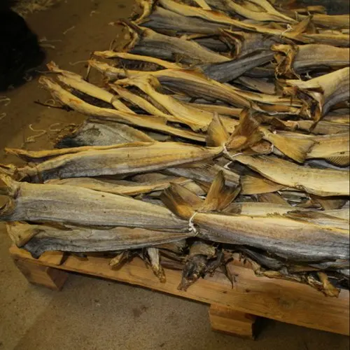 High Quality dry fish cheap price stock dried fish