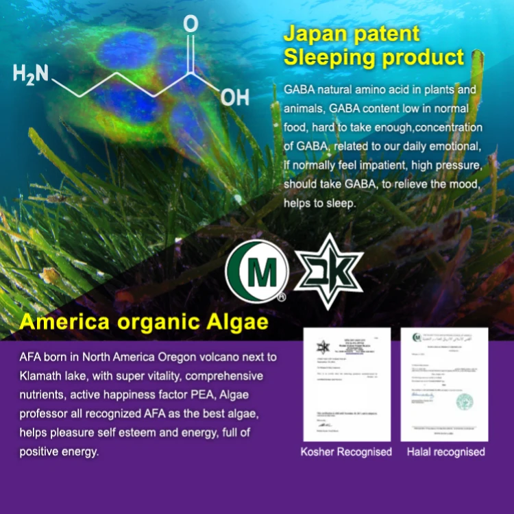
GABA America Organic Algae Good Sleep Capsules Pills 