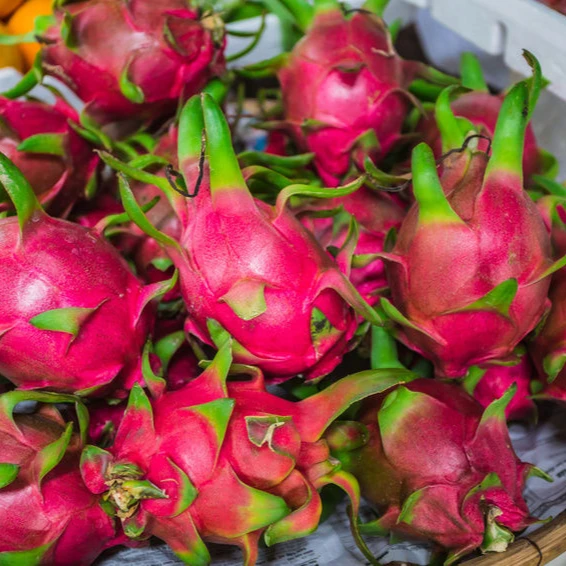 
Fresh Red / White Dragon Fruit +84 845 639 639 