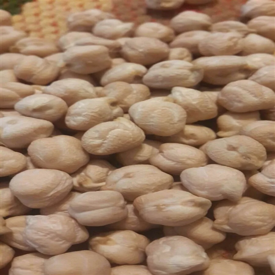 Fast Posting-Origin Turkey Chickpeas 8mm
