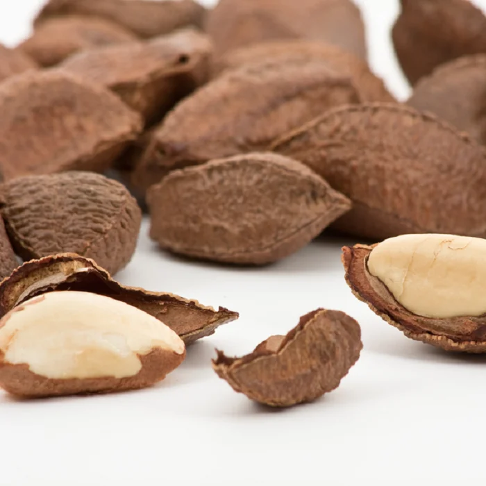 Brazil Nuts / Organic Brazil Nuts