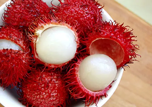 High Quality Rambutan Fruit in Fresh Style for Export Sweet Taste for Food Plant-Direct