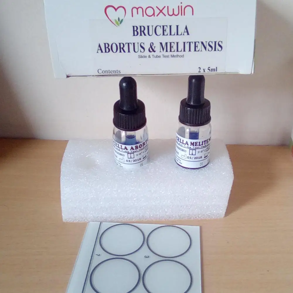 Brucella Abortus / Melitensis antibodies Antigen Test Kits MAnufacturer