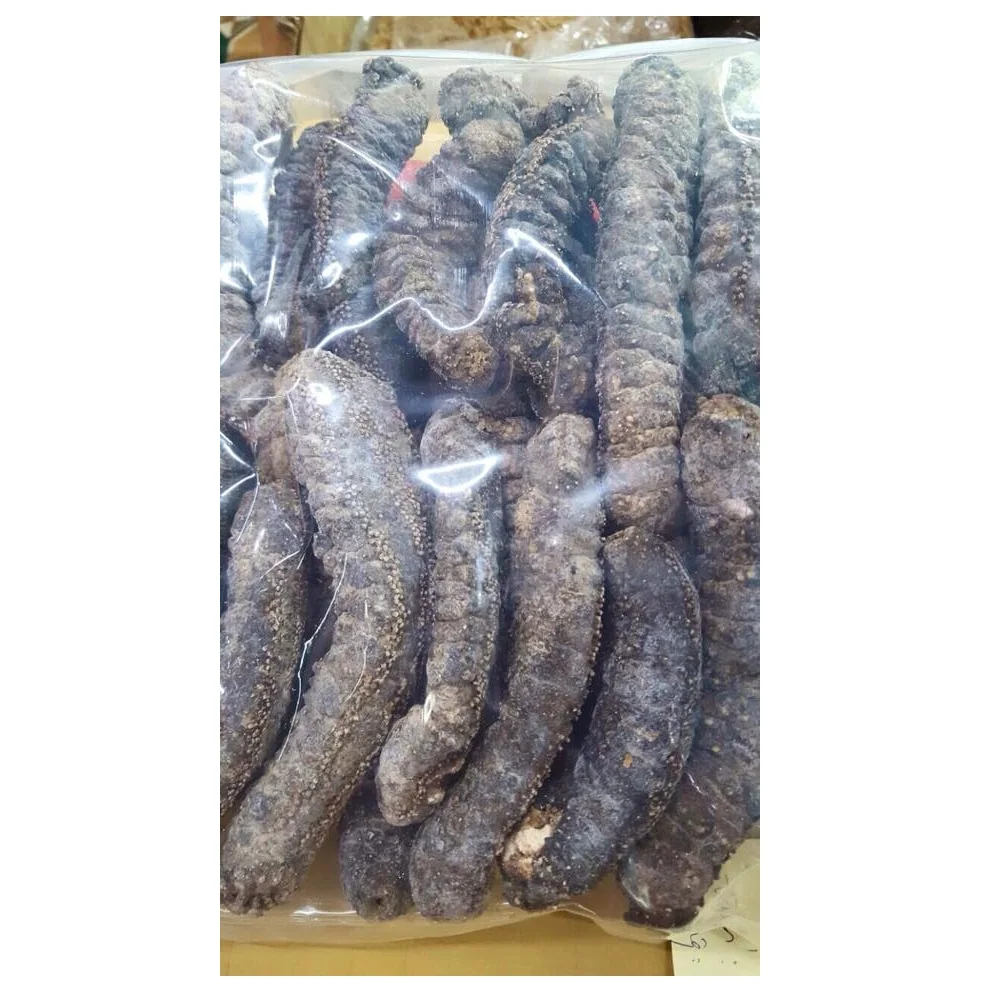DRIED SEA CUCUMBER HIGH QUALITY WHITE TEAT FISH CHEAP PRICE ELEPHAN TRUNKFISH FROM VIETNAM
