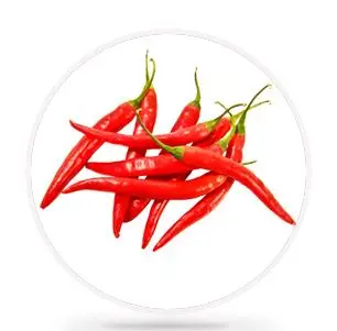 FRESH CAPSICUM ORJIN TURKEY Red  Chile Pepper Stuffed  Lobna pepper Charleston Hungarian Bell Stuffed Peppers