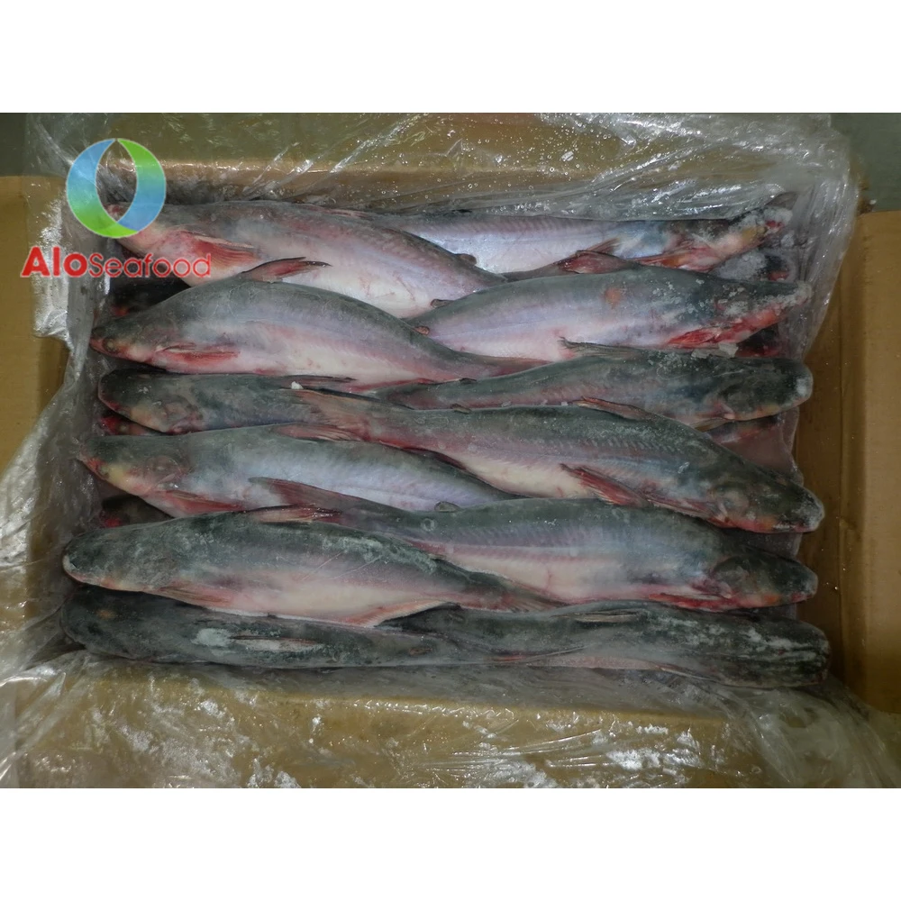 Hot selling cheap price with high quality Frozen Fish Pangasius Skin from Vietnam seafood company