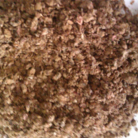
Cotton Seed Meal (Animal Feed) 