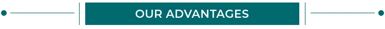 Advantages-t.jpg