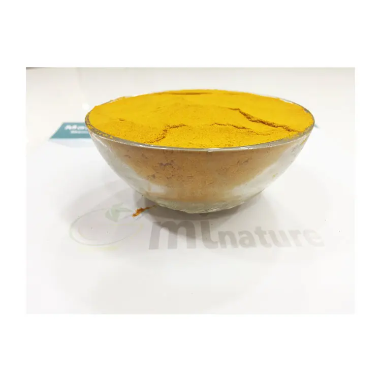 Premium Quality Top Selling Pure and Natural 100% Herbal Turmeric Powder from Trusted Indian Supplier