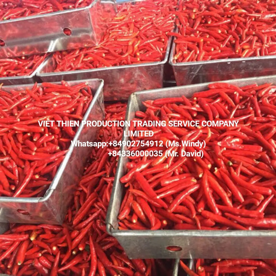 RED CHILI WHOLE FROZEN USED AS SPICES AND AS SAUCE IN GIA LAI VIETNAM AND MEET STANDARD EXPORT AND HIGH QUALITY AND GOOD PRICE