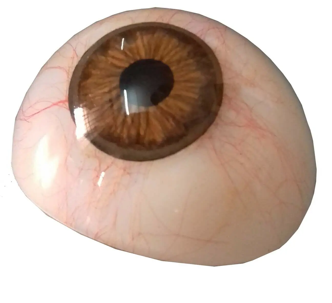 Mars International Manufacturer of genuine  price mix Artificial Prosthetic any-one Eye Superior Quality and price Free shipping